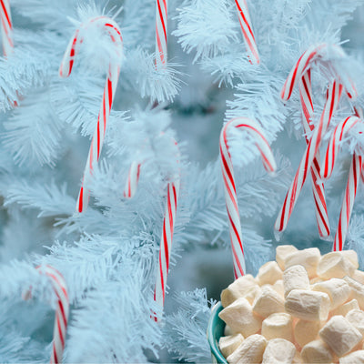 Candy Cane Marshmallow Fragrance Oil