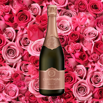 Champagne Rose Fragrance Oil