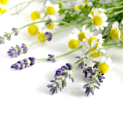 Lavender & Chamomile Bouquet Fragrance Oil