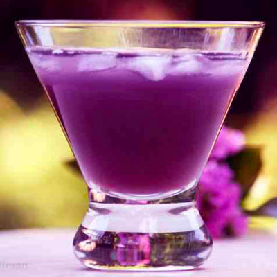 Purple Rain Fragrance Oil
